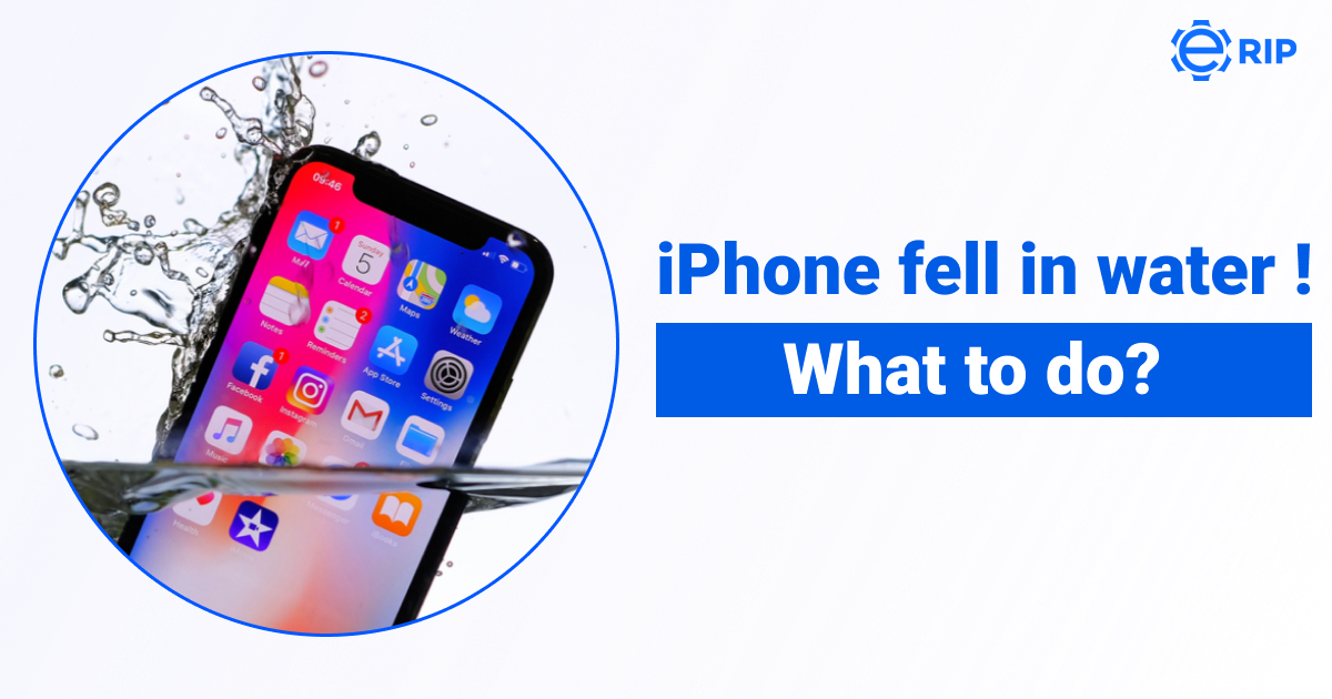 Iphone fell in water what to do